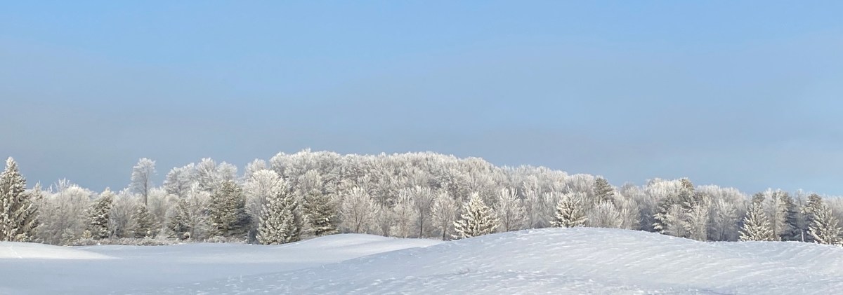 Winter Blues Got You Down? Read&nbsp;on…